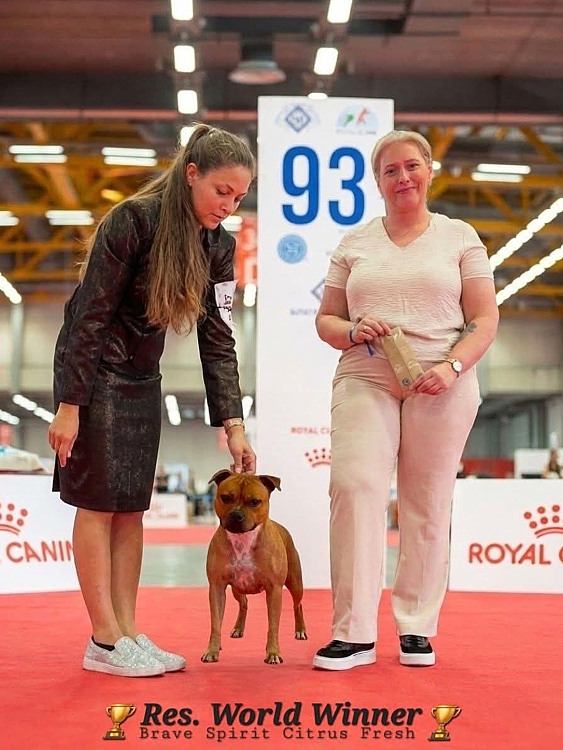 ��������������� ����������